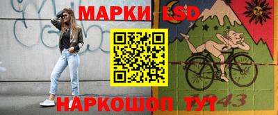 молекула духа Новозыбков