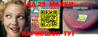 молекула духа Новозыбков