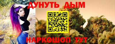 молекула духа Новозыбков