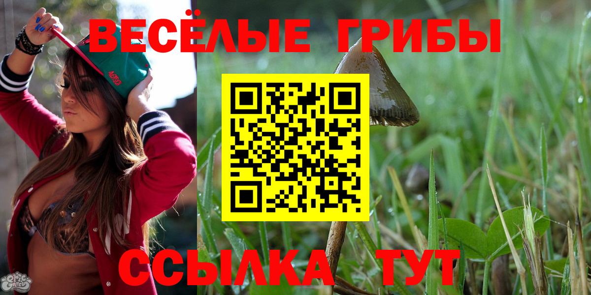 Галлюциногенные грибы ЛСД  Вход с VPN  Химки  Галлюциногенные грибы прущие грибы 